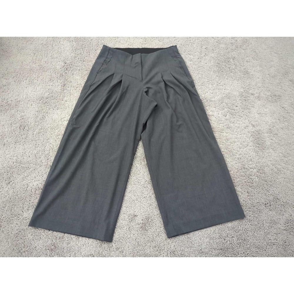 Lane Bryant Pants Womens 14 SHORT Gray High Rise Wide Leg Pleated Stretch Career